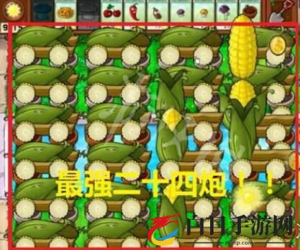 PVZBT官方正版2024