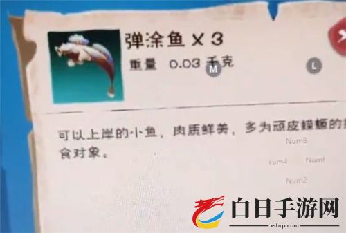 创造与魔法弹涂鱼在哪里钓 弹涂鱼获取位置说明